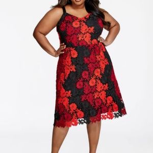 Bebe Cocktail Dress - Size 22 - NWT